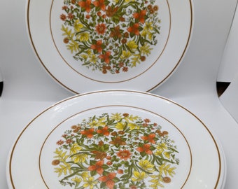 Vintage Corelle Indian Summer Dinner Plates - 4