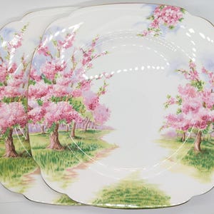 Royal Albert Blossom Time Dinner Plates - Etsy