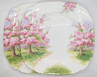 18 Piece Royal Albert Blossom Time Dessert Set With Large Teapot
