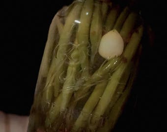 Dilly beans Quart