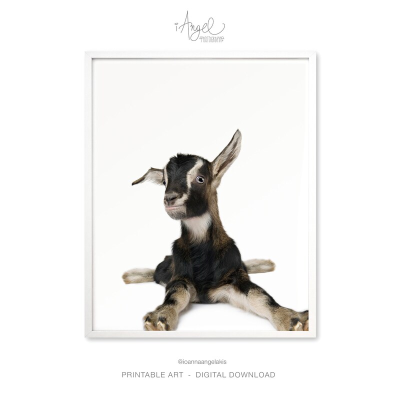Baby goat print baby farm animal nursery decor baby shower Etsy