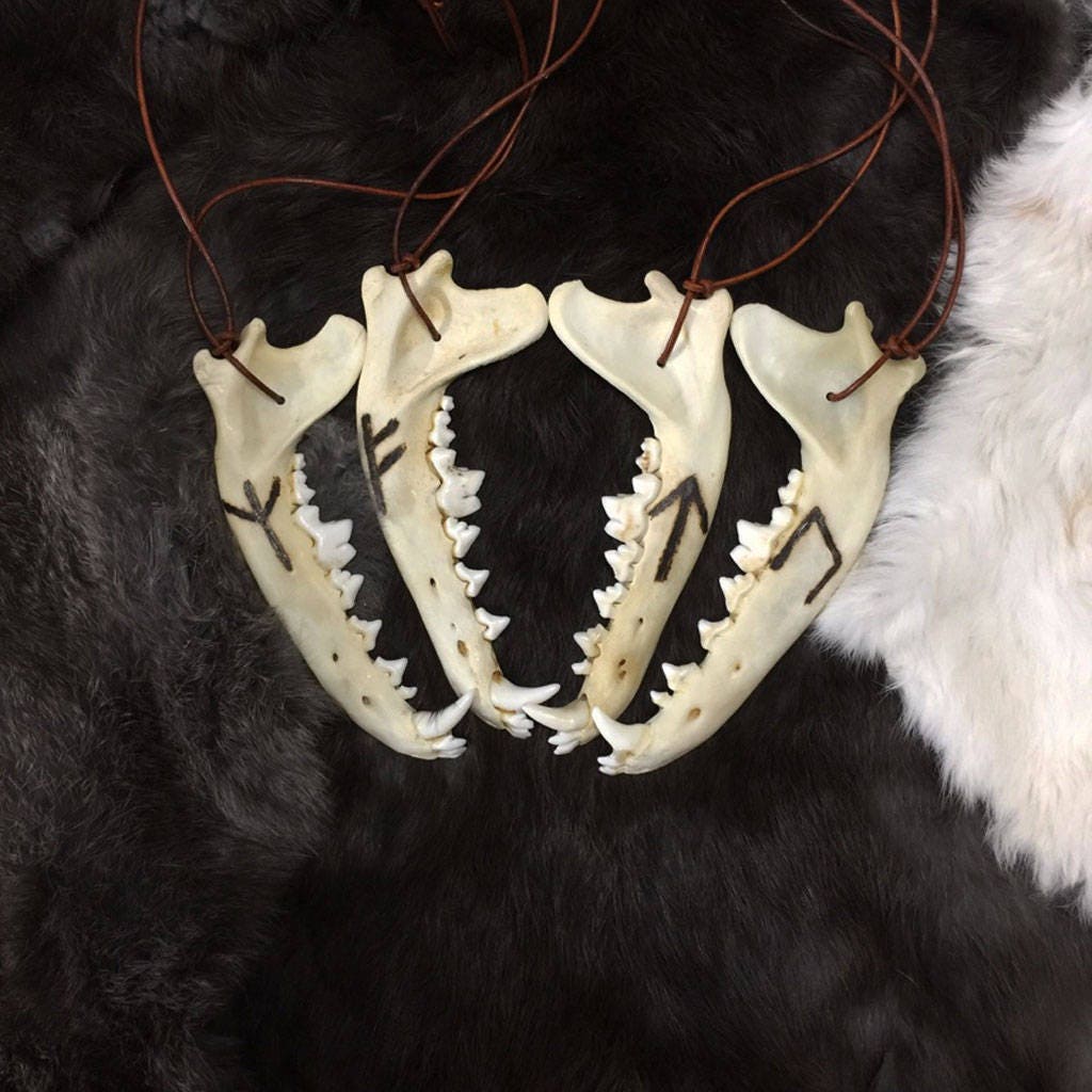 Real Coyote Jawbone Necklace With Elder Futhark Runes Burned Brown Le…