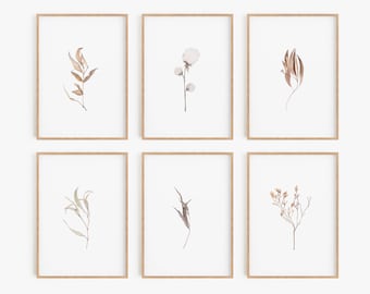 Set of 6 Prints,Digital Prints, Botanical Prints, Botanical Posters, Farmhouse Prints, Farmhouse Wall Art, Farmhouse Decor, Home Decor, Art