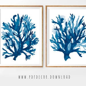 Coastal Print Set, Set of 2 blue wall art, Seaweed Print, Seaweed Wall Decal, Coastal Decor, Coastal wall Art, Set of 2 prints, Set of 2 Art