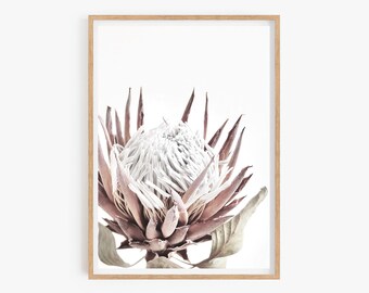 Protea Print, Floral Wall Art, Printable Botanical Poster, Digital Download, Australian Native Photography, Pink Flower Decor, Native Print