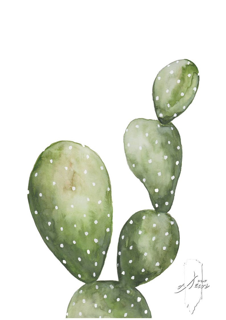 Cactus Print Cactus Wall Art Succulent Print Tropical Etsy