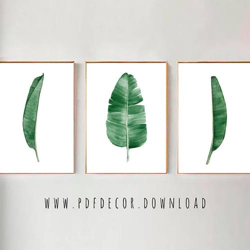 Set of 3 Prints Tropical Leaves Set Banana Leaf Set of 3 | Etsy