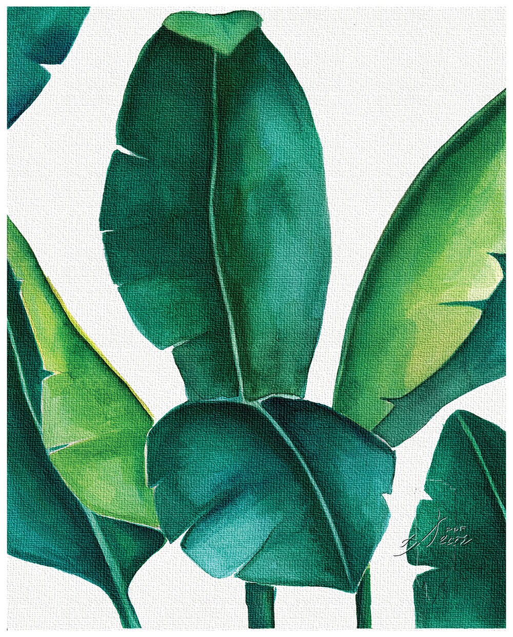 Set of 3 Prints, Tropical Leaves Set, Banana Leaf, Set of 3 Wall Art