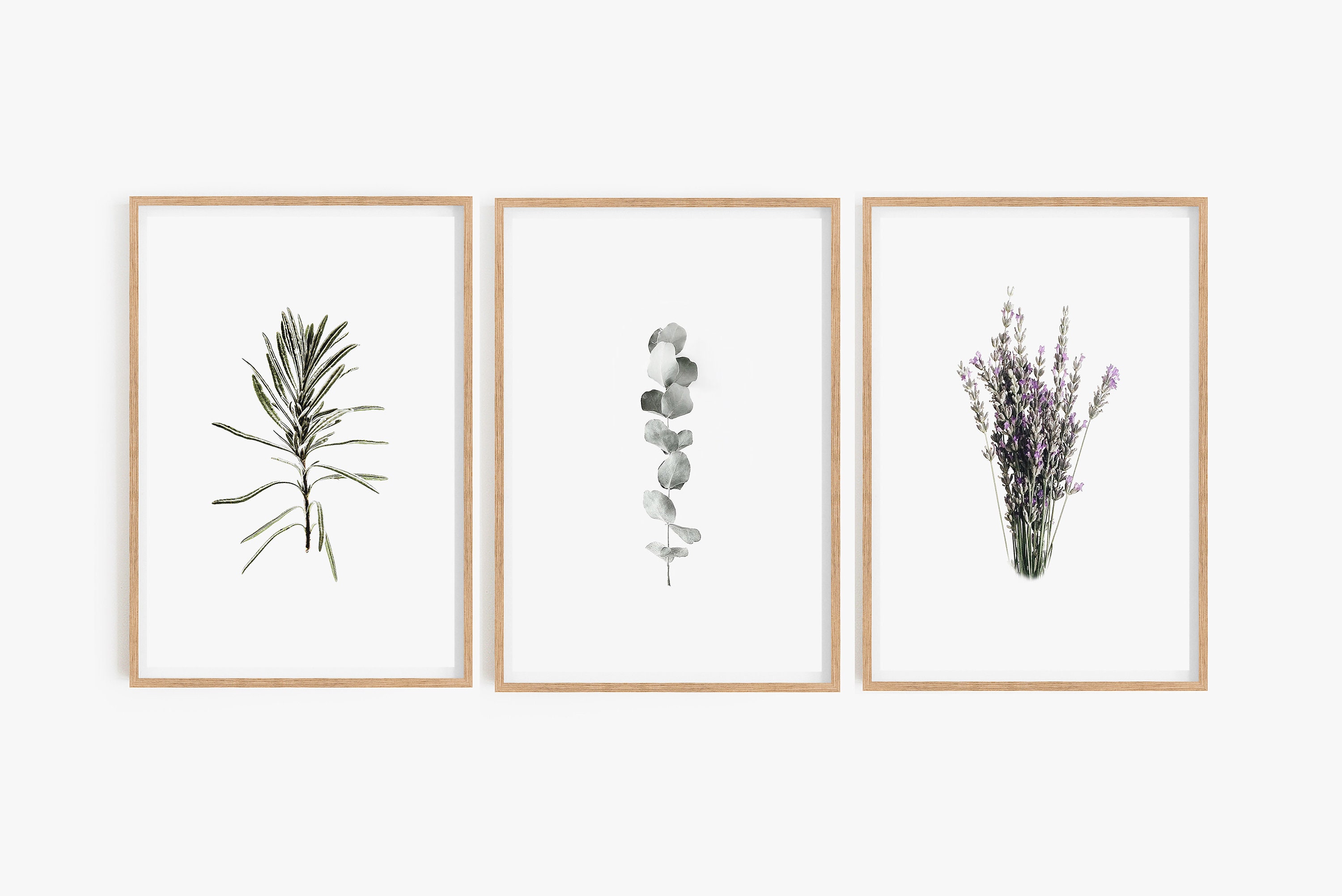 Set Of 3 Prints Digital Prints Botanical Prints Farmhouse Prints Farmhouse Wall Art Botanical Wall Art Botanical Posters Bathroom Art