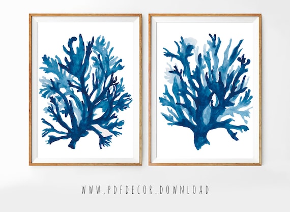 Coastal Print Set, Set of 2 blue wall art, Seaweed Print, Seaweed Wall Decal, Coastal Decor, Coastal wall Art, Set of 2 prints, Set of 2 Art