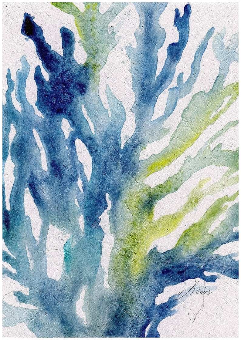 Sealife Watercolor Print Seaweed Print Sealife Wall Art | Etsy