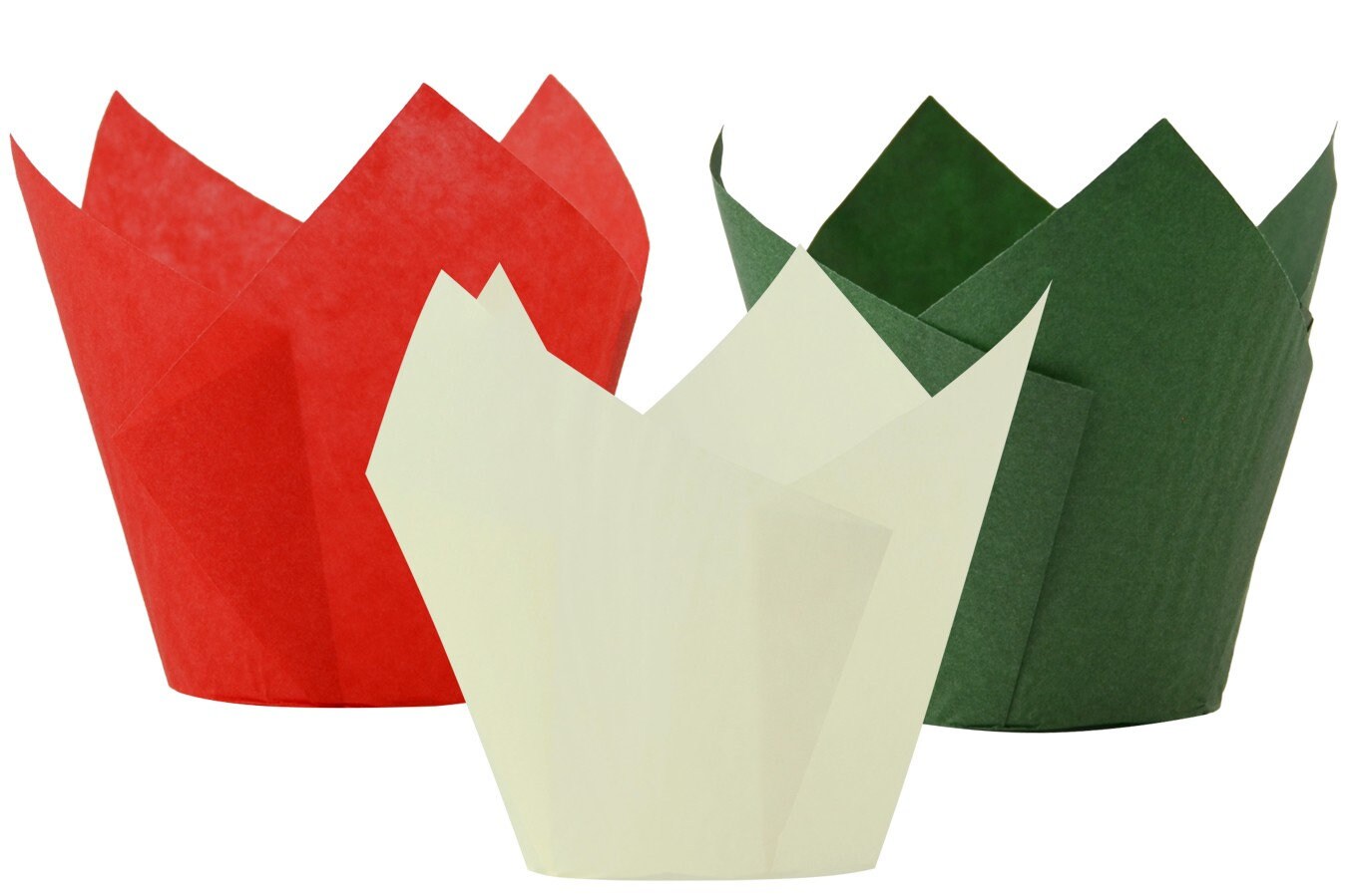 Tulip Cases All Colours Etsy UK