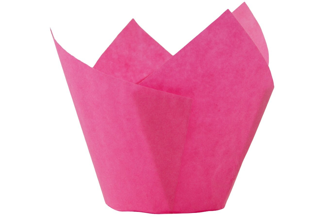 Tulip Cases All Colours Etsy UK