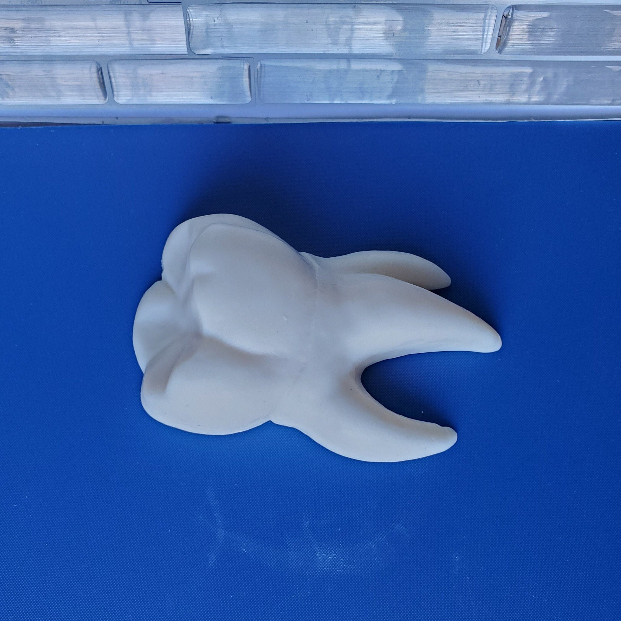 Tooth Shaped Soap Dentist Soap Dental Soap Wisdom Tooth Etsy Canada