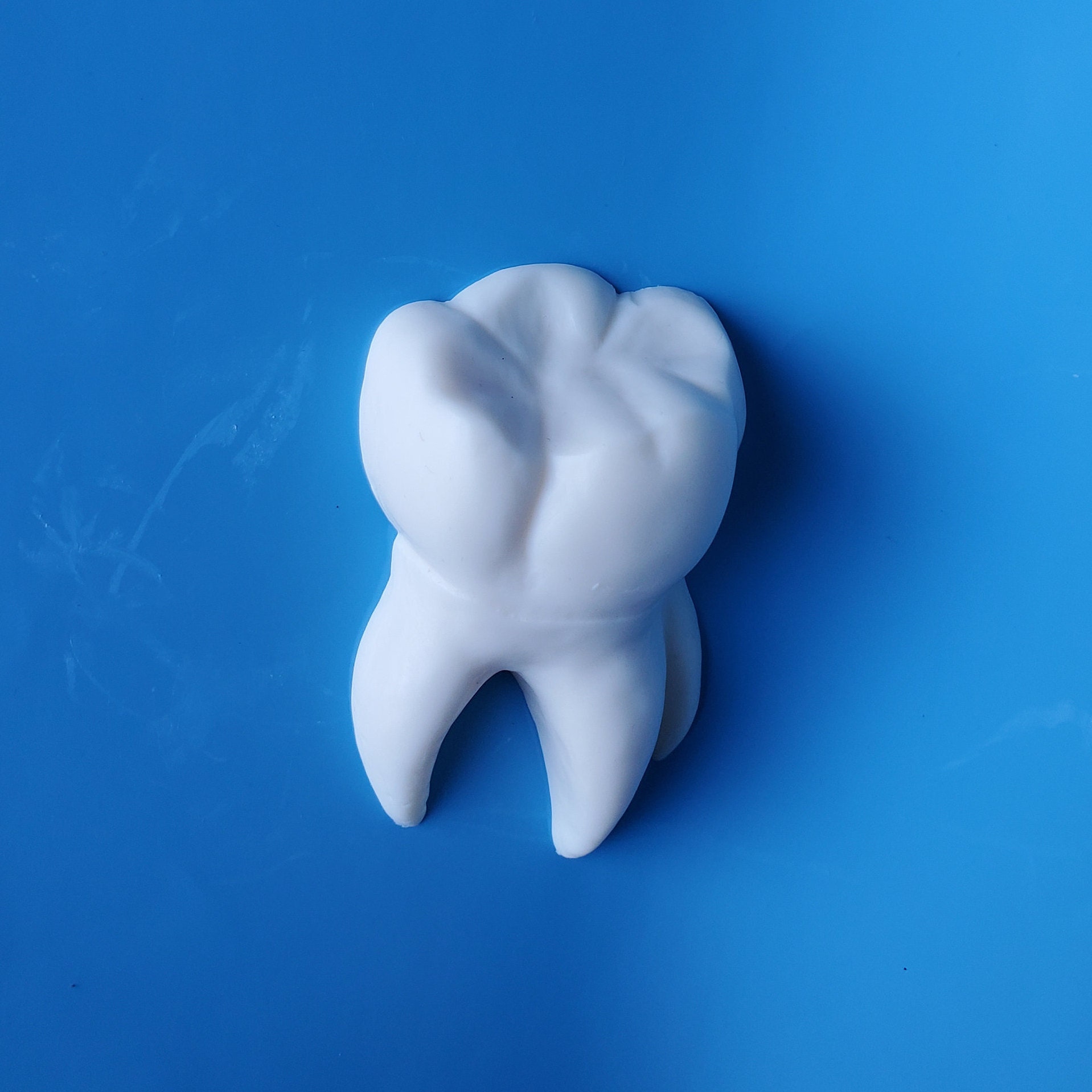 Tooth Shaped Soap Dentist Soap Dental Soap Wisdom Tooth Etsy Canada