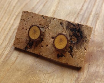 Natural stud earrings made from pine wood, ecological and vegan - handmade