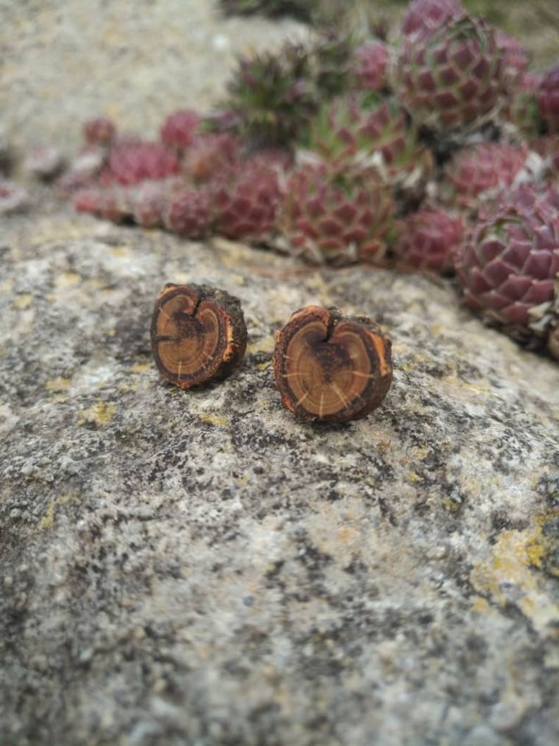 Wooden stud earrings ecological and vegan natural handmade