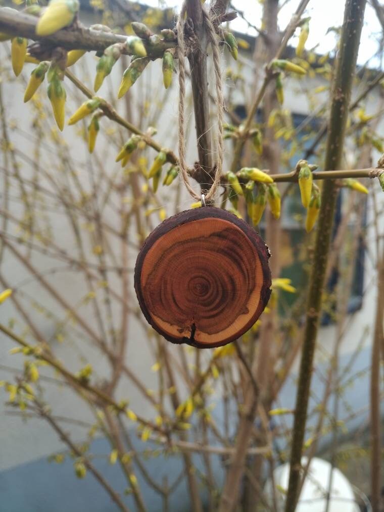 Joyería de decoración / percha de señuelo de madera conjunto | Etsy