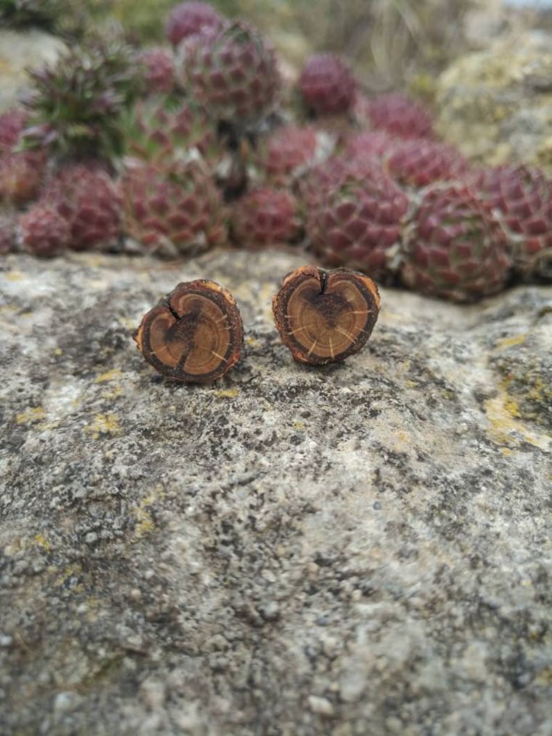 Wooden stud earrings ecological and vegan natural handmade