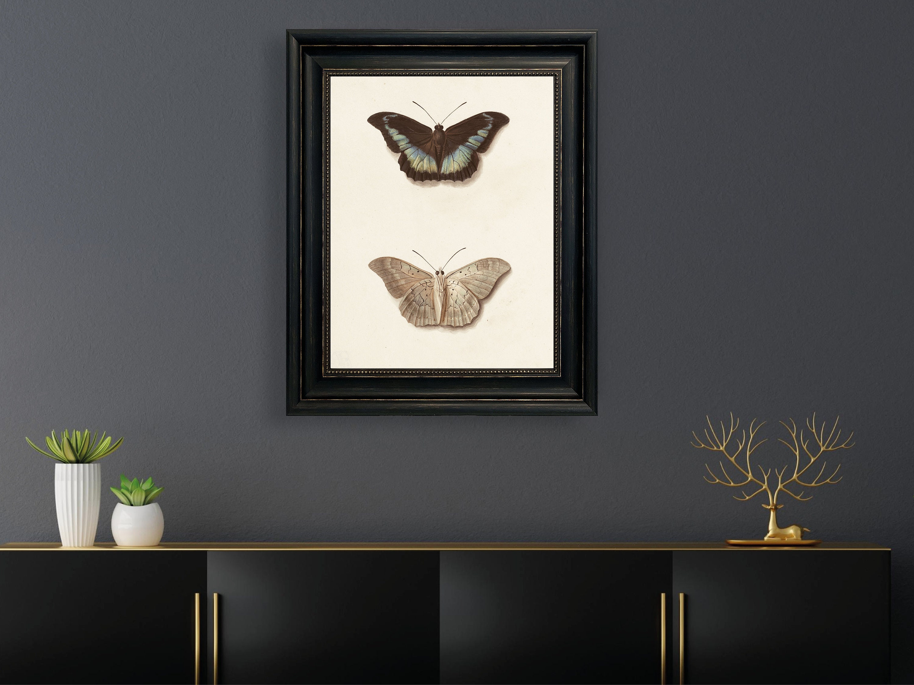 Vintage Moth Art Print: Dark Academia Wall Decor (digital Download) - Etsy