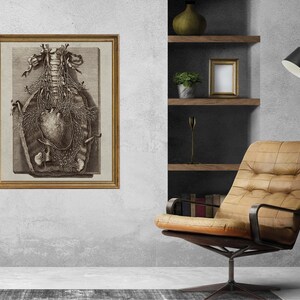 Op de afbeelding: Een vintage anatomische illustratie van het menselijk hart en ruggenmerg, ingelijst in een gouden lijst. De illustratie is in zwart-wit en toont de ingewikkelde details van het menselijk lichaam.