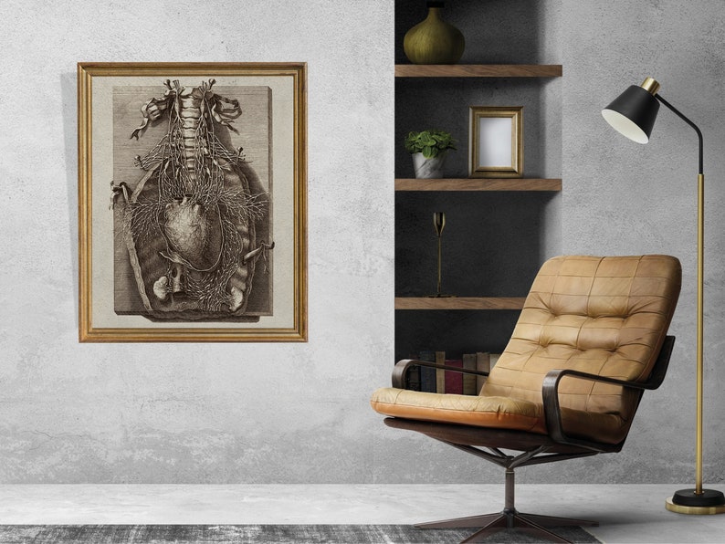 Op de afbeelding: Een vintage anatomische illustratie van het menselijk hart en ruggenmerg, ingelijst in een gouden lijst. De illustratie is in zwart-wit en toont de ingewikkelde details van het menselijk lichaam.