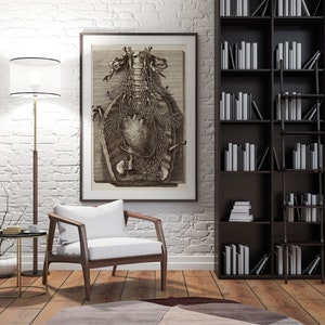 Op de afbeelding: Een witte fauteuil met houten armleuningen en poten staat in een kamer met een witte bakstenen muur, een staande lamp met een witte lampenkap, een gouden bijzettafel en een donkerhouten boekenkast vol boeken. Aan de muur hangt een ingelijst vintage anatomisch plaatje van het menselijk hart en het bloedsomloopstelsel.