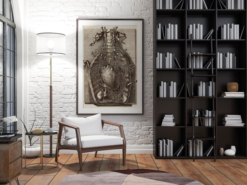 Op de afbeelding: Een witte fauteuil met houten armleuningen en poten staat in een kamer met een witte bakstenen muur, een staande lamp met een witte lampenkap, een gouden bijzettafel en een donkerhouten boekenkast vol boeken. Aan de muur hangt een ingelijst vintage anatomisch plaatje van het menselijk hart en het bloedsomloopstelsel.