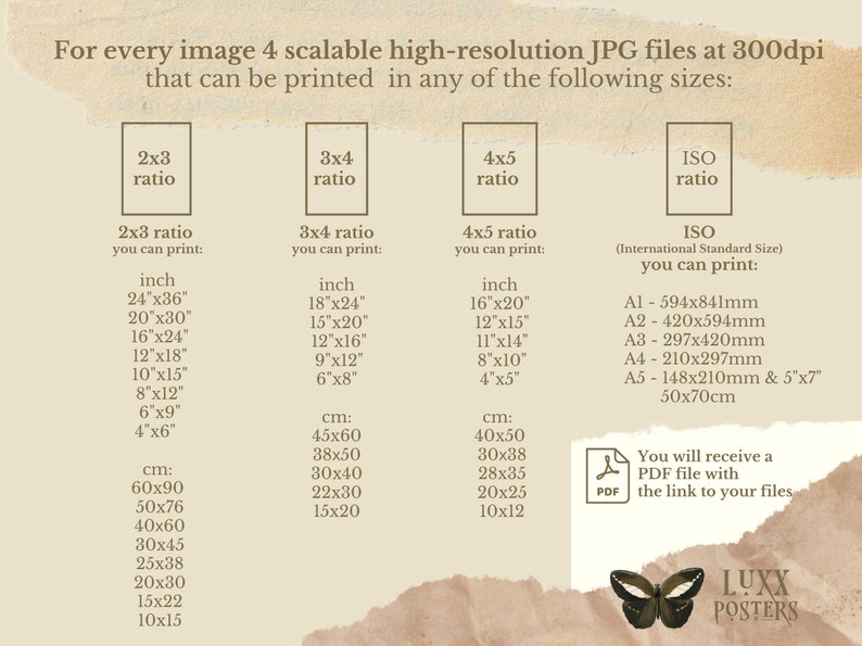 May include: Print size guide with ratios and dimensions in inches and centimeters. Includes 2x3, 3x4, 4x5, and ISO ratios. The text also mentions that you will receive a PDF file with the link to your files.