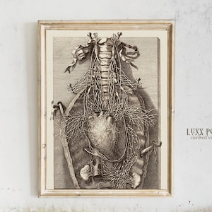 Vintage heart anatomy prints | cardiologist gift | medical art | vintage medical posters art | human biology poster | anatomy wall art