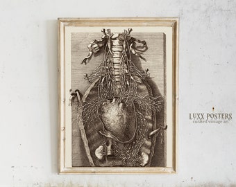 Vintage hartanatomieprint: medische muurkunst (digitale download)