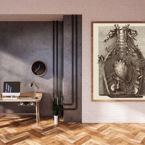 Op de afbeelding: Een vintage anatomische illustratie van de interne organen van het menselijk lichaam, inclusief het hart, de longen en de darmen, ingelijst in een houten lijst en hangend aan een witte bakstenen muur in een moderne kantooromgeving.