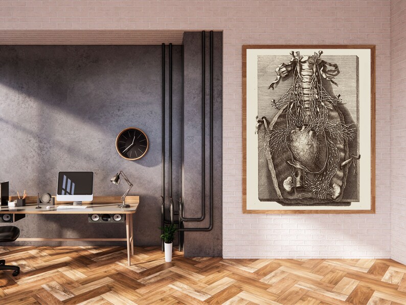 Op de afbeelding: Een vintage anatomische illustratie van de interne organen van het menselijk lichaam, inclusief het hart, de longen en de darmen, ingelijst in een houten lijst en hangend aan een witte bakstenen muur in een moderne kantooromgeving.