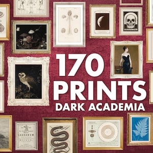 MEGA BUNDLE 170 Dark Academia Vintage Prints, Retro Druckgalerie Wandkunst Set, Ephemera, Menschlicher Körper, Blueprints, Astrologie, Botanische
