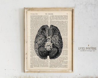 Vintage Brain Anatomy Art Print: Dark Academia Decor (Digital Download)