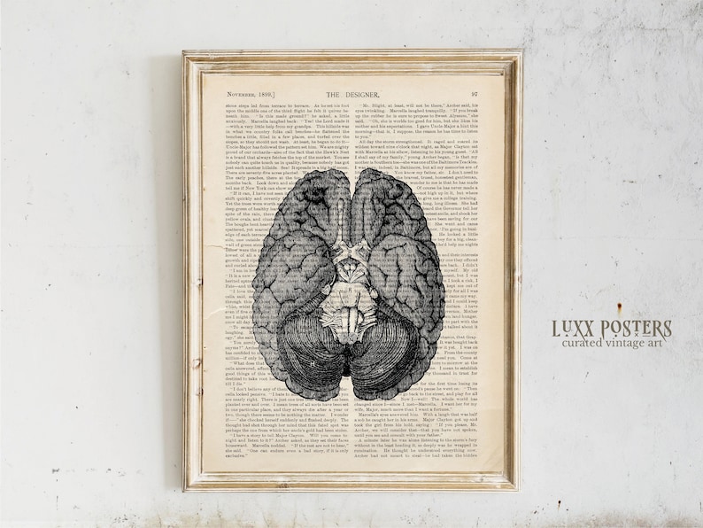 Vintage Brain Anatomy Art Print: Dark Academia Decor (digital Download ...