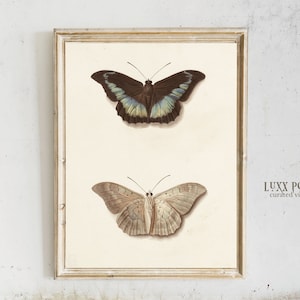 Vintage Moth | Dark Academia Room Decor | Art print download | Light Academia wall art | Gothic Room Print | Cottagecore vintage Art