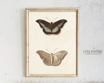 Vintage Moth Art Print: Dark Academia Wall Decor (Digital Download)