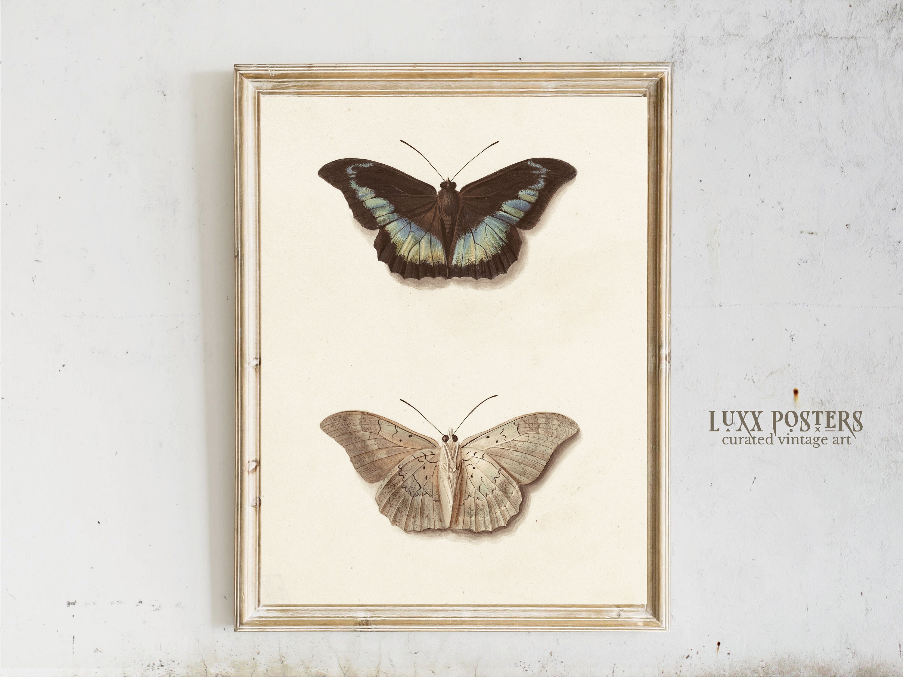 Vintage Moth Art Print: Dark Academia Wall Decor (digital Download) - Etsy