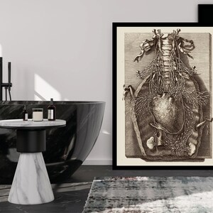 Op de afbeelding: Een zwart-wit anatomische illustratie van het menselijk hart en de omliggende organen, ingelijst in een zwart frame en hangend aan een witte muur. De illustratie is in vintage stijl en heeft ingewikkelde details.