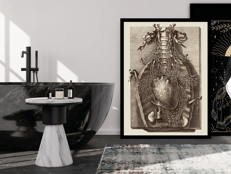 Op de afbeelding: Een zwart-wit anatomische illustratie van het menselijk hart en de omliggende organen, ingelijst in een zwart frame en hangend aan een witte muur. De illustratie is in vintage stijl en heeft ingewikkelde details.