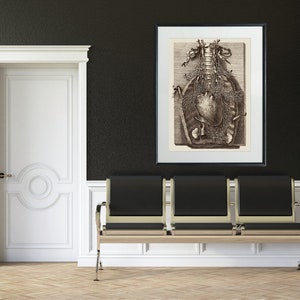 Op de afbeelding: Een zwart-witte anatomische illustratie van het menselijk hart en de wervelkolom, ingelijst in een zwart frame en hangend aan een donkergrijze muur. Een zwarte leren bank met zilveren poten staat voor het kunstwerk.