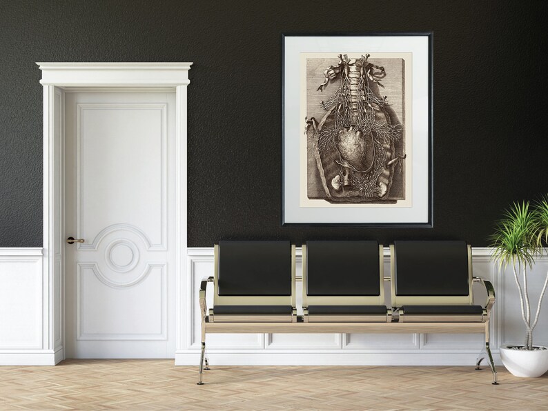 Op de afbeelding: Een zwart-witte anatomische illustratie van het menselijk hart en de wervelkolom, ingelijst in een zwart frame en hangend aan een donkergrijze muur. Een zwarte leren bank met zilveren poten staat voor het kunstwerk.