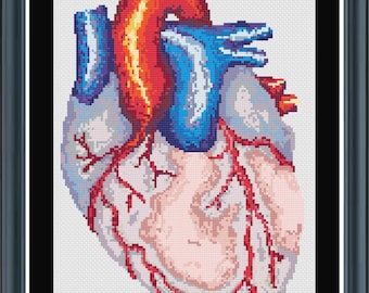 Anatomical Heart Cross Stitch PDF Pattern, Pattern Keeper Compatible, 23 DMC thread colors