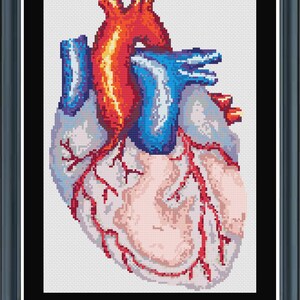 Anatomical Heart Cross Stitch PDF Pattern, Pattern Keeper Compatible, 23 DMC thread colors
