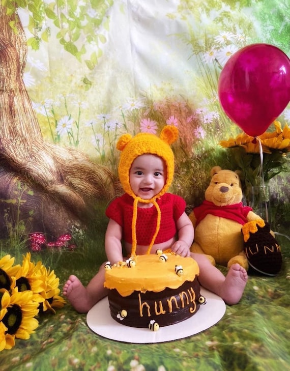 20+ Winnie The Pooh Baby Costume