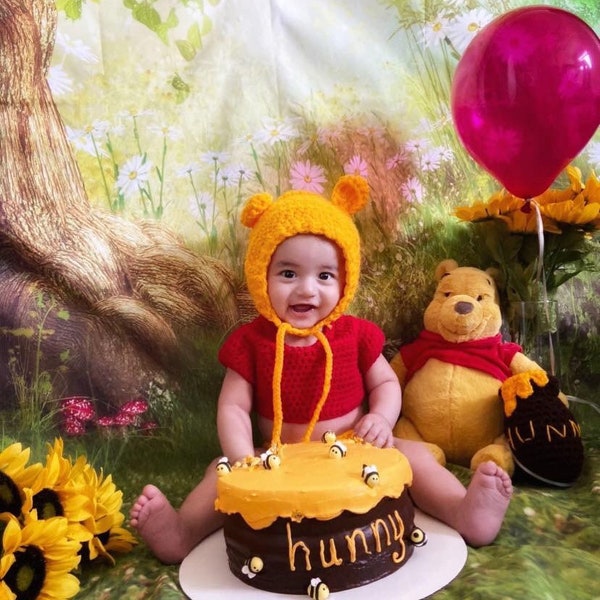 Winnie the Pooh/ Pooh Bear/Baby shower gift/Newborn photo prop/Milestone outfit/Disney outfit/Disney newborn