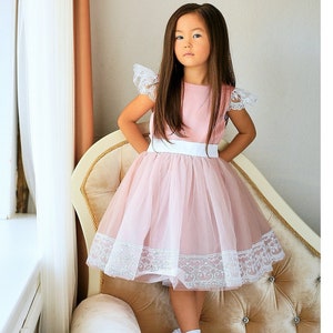 Blush Pink Lace Birthday Dress: Toddler Party Dress