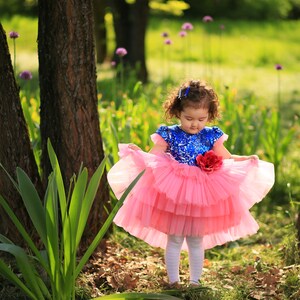 Girls Blue Sequin Party Dress: Pink Tulle Flower Girl Dress