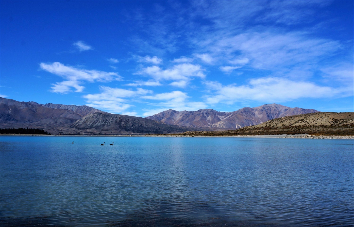Lake Tekapo / Digital Download / New Zealand Photograph / | Etsy